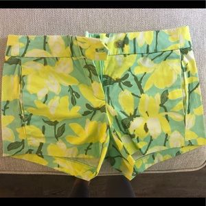 J Crew stretch short